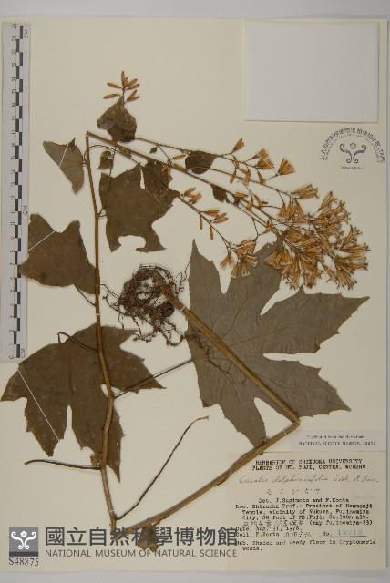 登錄號:S048875藏品圖，第1張