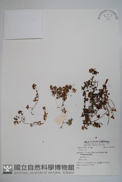 登錄號:S059185藏品圖，第1張