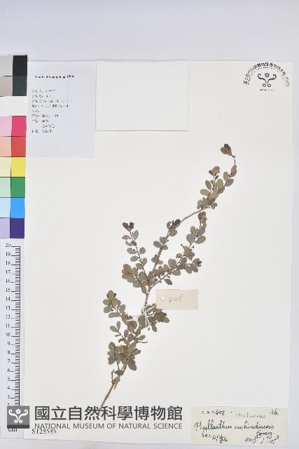 登錄號:S128585藏品圖，第1張