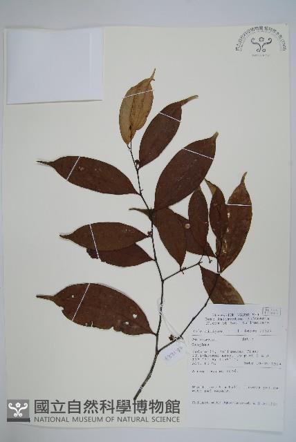 登錄號:S069814藏品圖，第1張