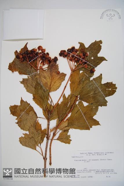 登錄號:S058654藏品圖，第1張