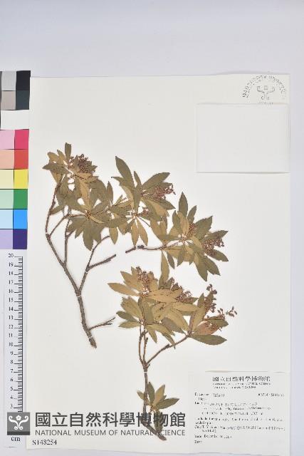 登錄號:S148254藏品圖，第1張