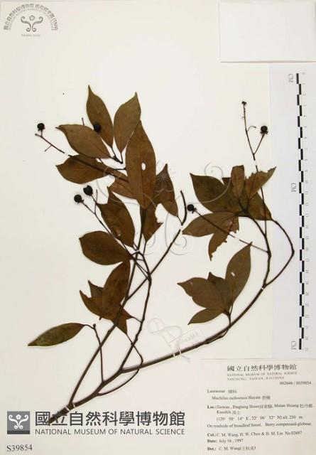 香楠藏品圖，第1張