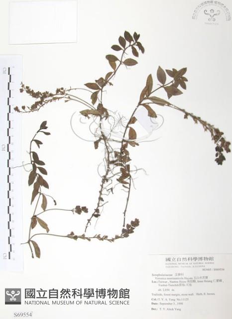 玉山水苦賈藏品圖，第1張