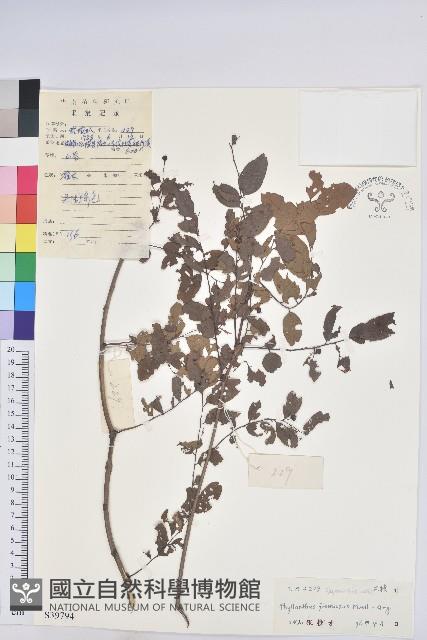 登錄號:S039794藏品圖，第1張