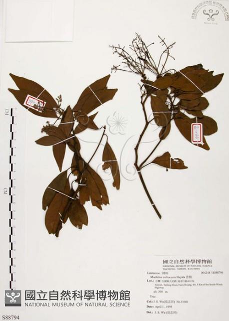 香楠藏品圖，第1張