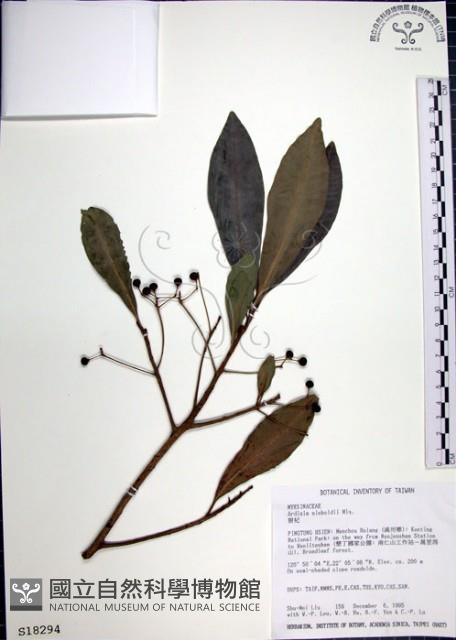 樹杞藏品圖，第1張