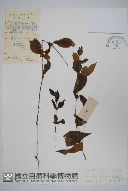 登錄號:S038494藏品圖，第1張