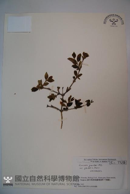 登錄號:S058394藏品圖，第1張