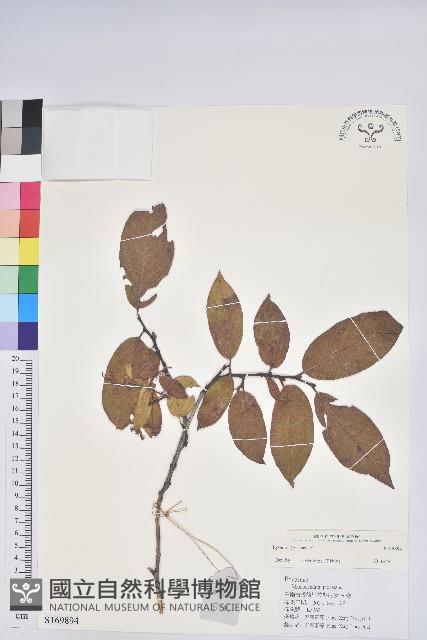 登錄號:S169894藏品圖，第1張