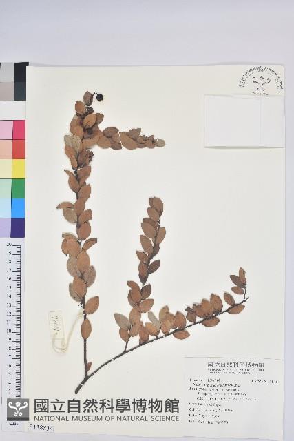 登錄號:S118834藏品圖，第1張