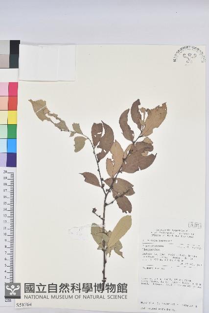 登錄號:S058764藏品圖，第1張