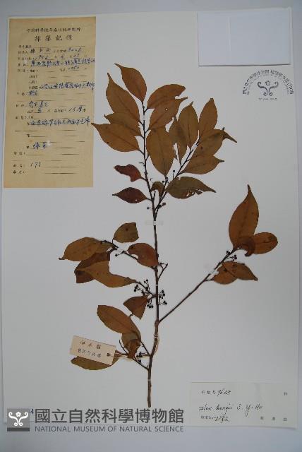 Accession Number:S038464 Collection Image, Figure 1, Total 2 Figures