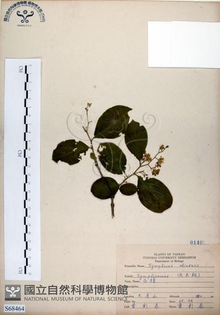 灰木藏品圖，第1張