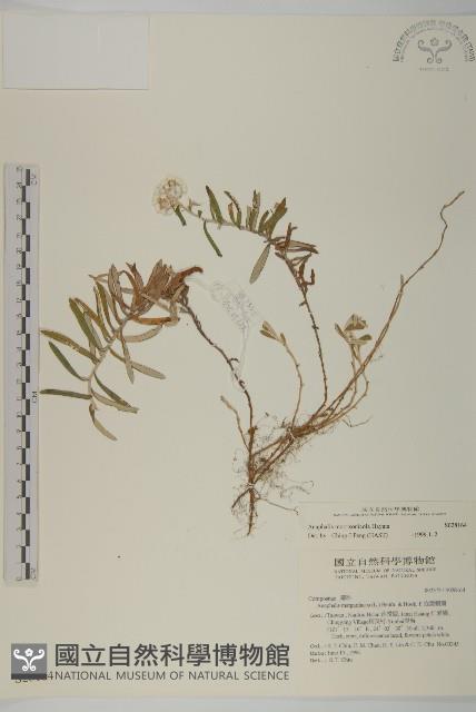 Accession Number:S028164 Collection Image, Figure 1, Total 2 Figures