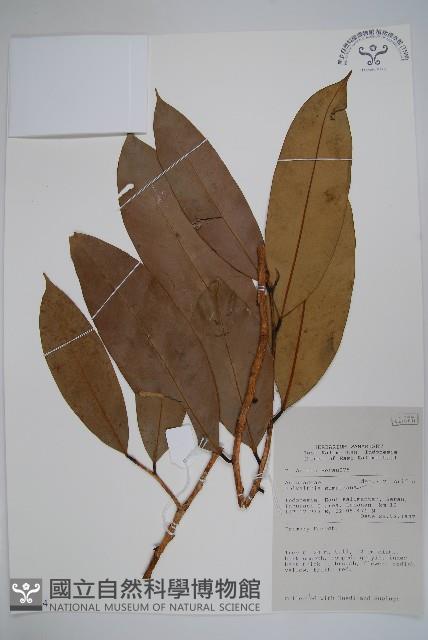 登錄號:S058864藏品圖，第1張