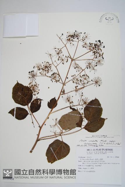 登錄號:S109964藏品圖，第1張