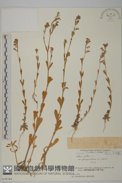 登錄號:S058744藏品圖，第1張