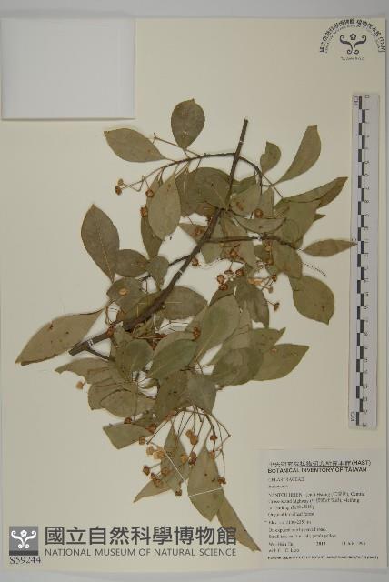 登錄號:S059244藏品圖，第1張