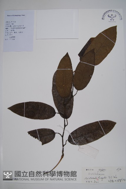 登錄號:S128844藏品圖，第1張