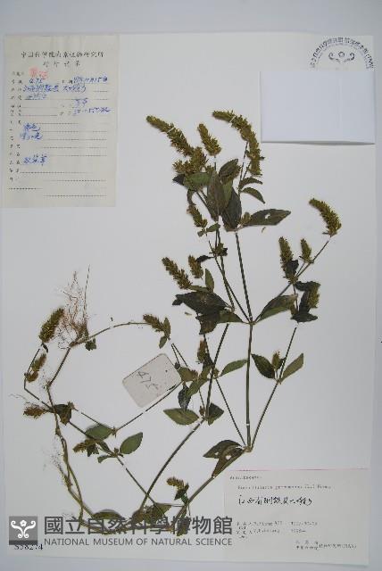 Accession Number:S058274 Collection Image, Figure 1, Total 2 Figures