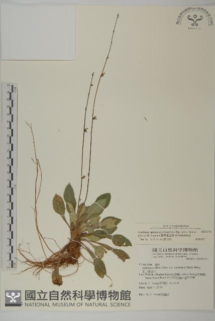 臺灣鬼督郵藏品圖，第1張