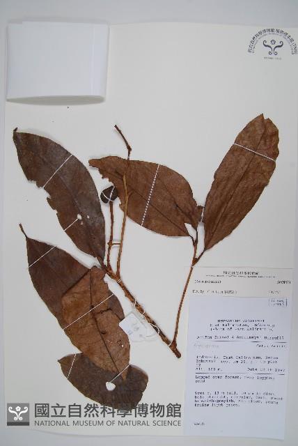 登錄號:S058874藏品圖，第1張