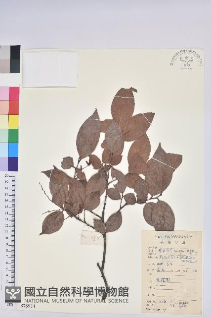 登錄號:S078974藏品圖，第1張