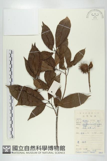 猴歡喜藏品圖，第1張