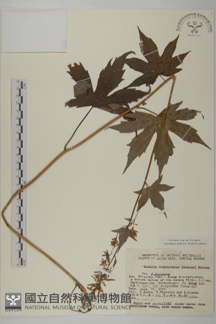 登錄號:S049184藏品圖，第1張