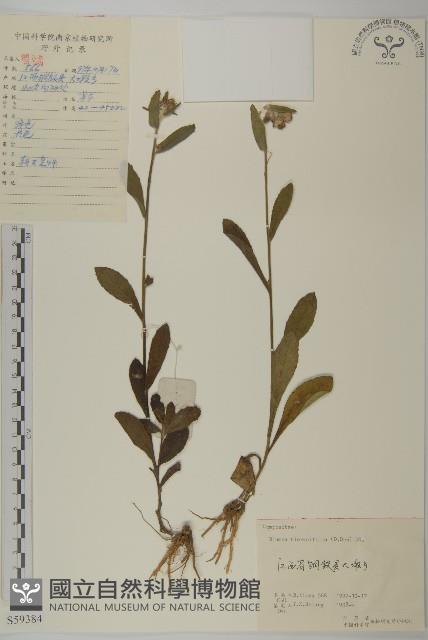 毛將軍藏品圖，第1張