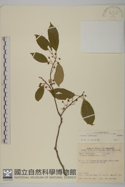 登錄號:S098884藏品圖，第1張