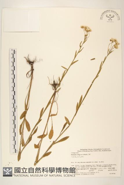 登錄號:S074629藏品圖，第1張