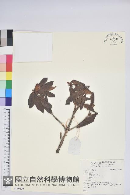 登錄號:S140229藏品圖，第1張