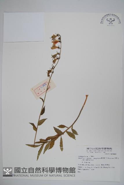 登錄號:S074429藏品圖，第1張