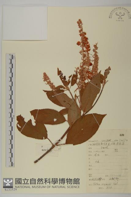 南嶺山柳藏品圖，第1張