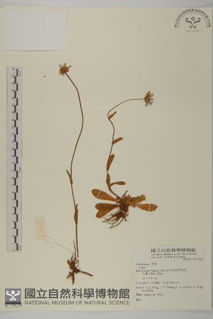 登錄號:S073829藏品圖，第1張