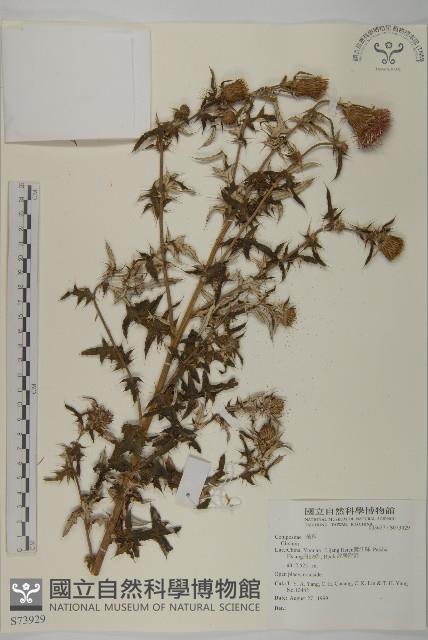 登錄號:S073929藏品圖，第1張