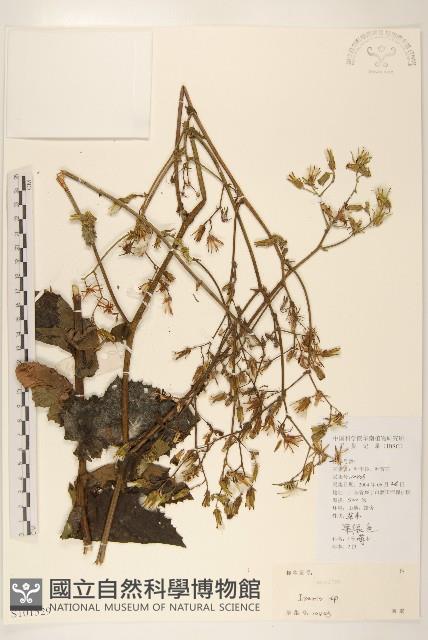 登錄號:S101529藏品圖，第1張