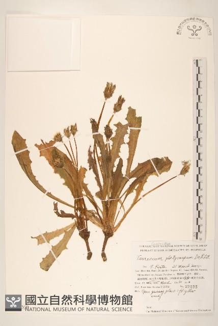 登錄號:S130709藏品圖，第1張