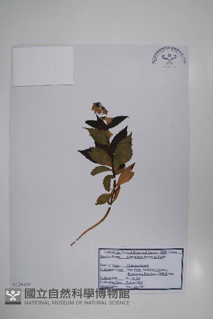 登錄號:S120409藏品圖，第1張