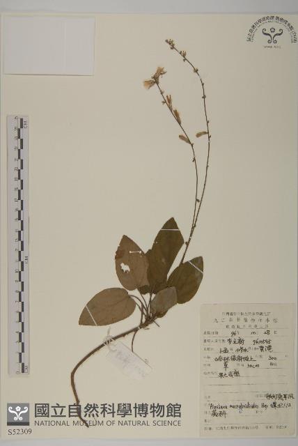 阿里山鬼督郵藏品圖，第1張