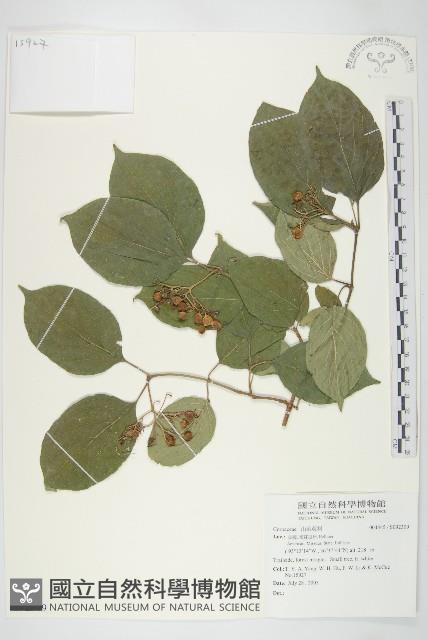 登錄號:S092309藏品圖，第1張