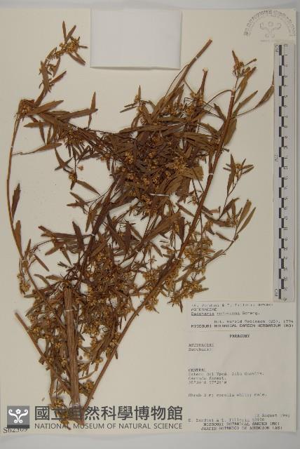 Accession Number:S062309 Collection Image, Figure 1, Total 2 Figures