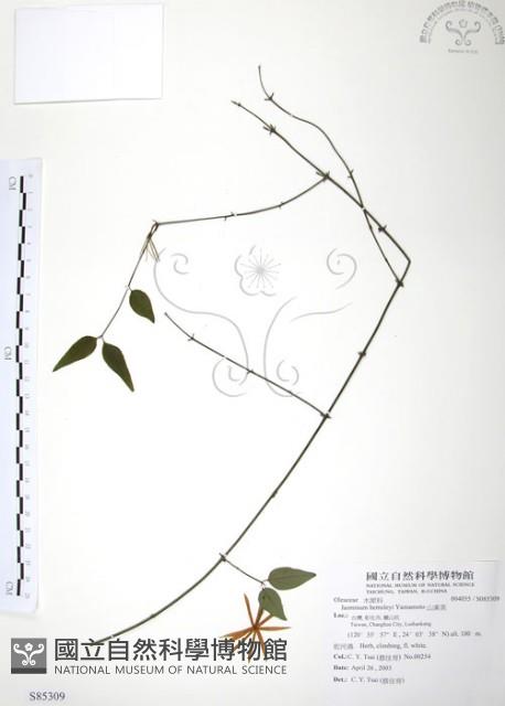 山素英藏品圖，第1張