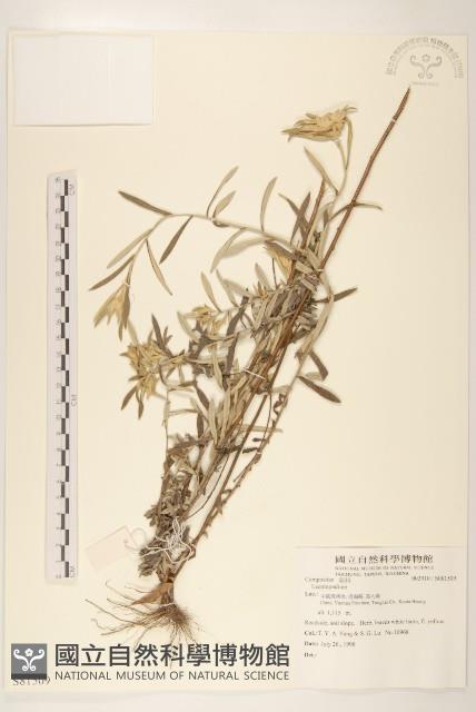 登錄號:S081509藏品圖，第1張