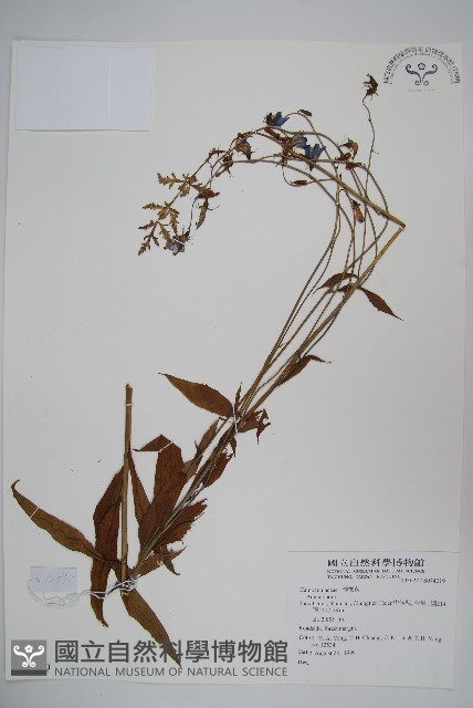 登錄號:S074019藏品圖，第1張