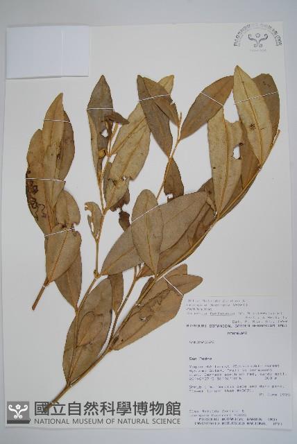 登錄號:S080719藏品圖，第1張