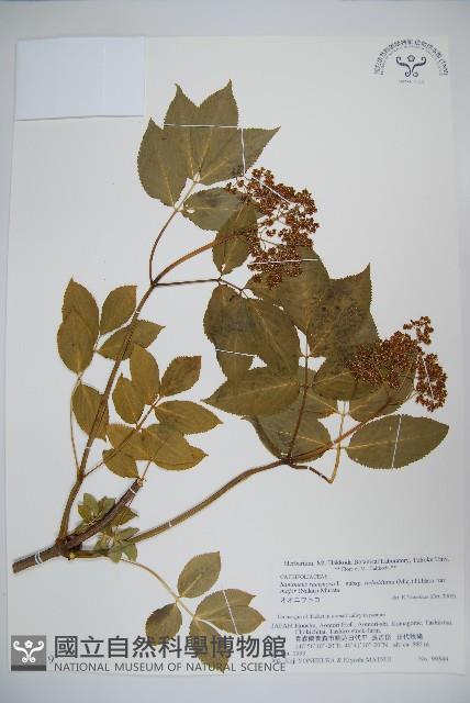 登錄號:S074719藏品圖，第1張