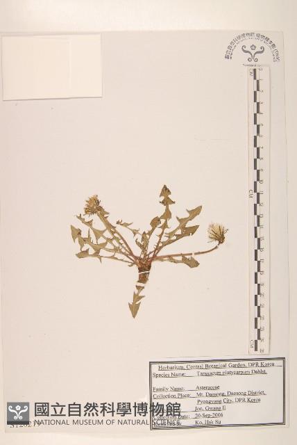 登錄號:S120219藏品圖，第1張